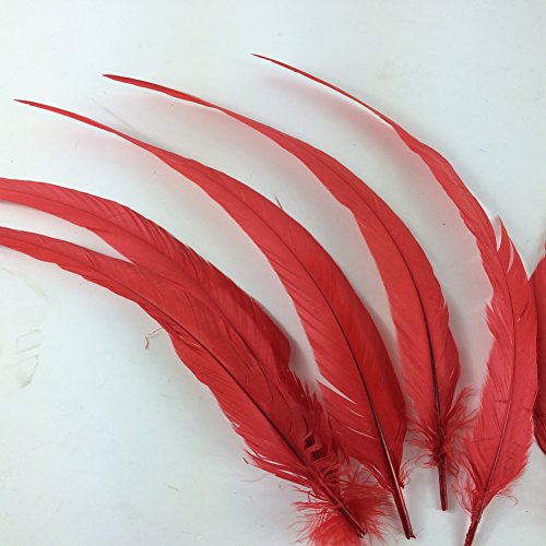 Sowder Red Rooster Coque Tail Feathers 13-16Inch Lengh Pack Of 50 #TOP2