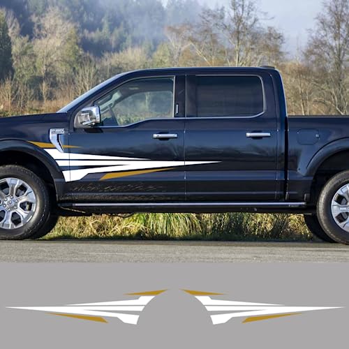 Autocollants de ramassage pour Ford F150 bandes de decor auto - 4