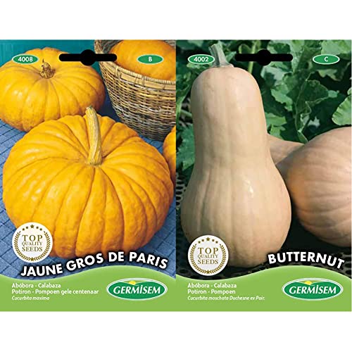 Germisem Jaune Gros de Paris Semillas de Calabaza 3 g, EC4008 & Butternut Semillas de Calabaza 3 g
