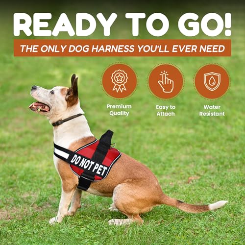 Doggie Stylz Dog Harness with DO NOT PET Patches – No Pull Service Dog Vest and Service Animal Vest for Dogs – Adjustable Gentle Leader for Dogs – Reflective, Heavy-Duty for Training and Walking - Thumbnail 5