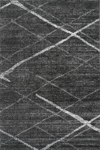 Tapete decorativo nuLOOM Thigpen Gris oscuro 365x320 cm miniatura 3