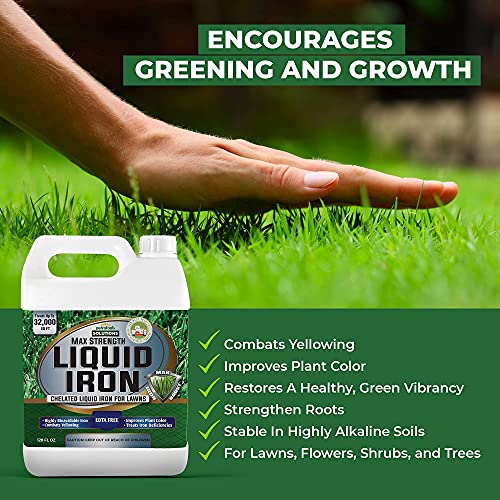 18 Best Liquid Lawn Fertilizers Catalogs Out There