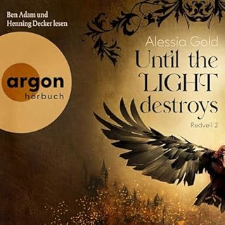 Until the Light destroys Titelbild