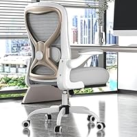 CASASIO Office Desk Chair with Ergonomic Lumbar Support, Extra-Thick Seat Cushion, Flip-up Arms, Breathable Mesh Back, Computer Task Chair for Home Office