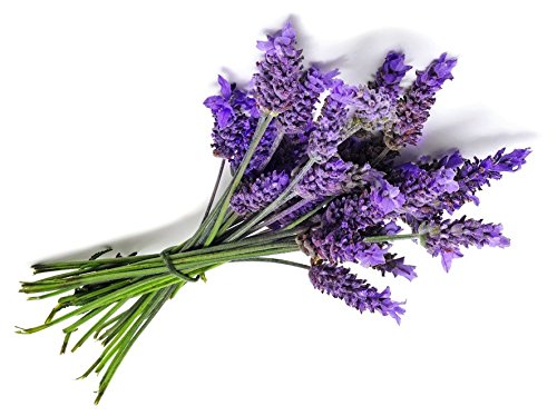 Indica Lavender Herb Super Culinary herb, 40 Seeds Pack (B018Y2EAAG) Amazon Price History, Amazon Price Tracker