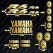 Kit adesivi Yamaha R6 ORO | VARI COLORI DISPONIBILI