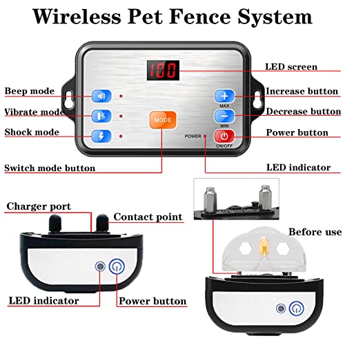 Dog Wearing Reflective Training Collar