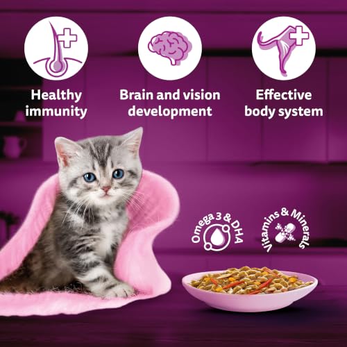 Image of Whiskas Tasty Mix Kitten (2-12 Months) Wet Cat Food, Seafood Cocktail Carrot Flavour in Gravy, 70 g x 14, 100% Complete & Balanced Nutrition for Kittens
