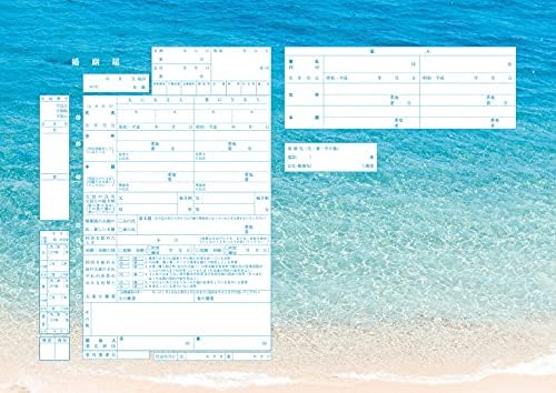 希少 婚姻届製作所 役所に提出できる デザイン 婚姻届 Clear Blue Www Larrypolatsch Com