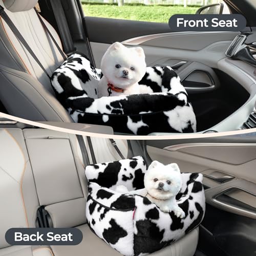 View 4