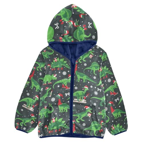 Boys' Fleece Hoody Jacket Zip Up Coat Warm Fall Winter Plush Jacket Christmas Dinosaurs Long Sleeve Outerwear