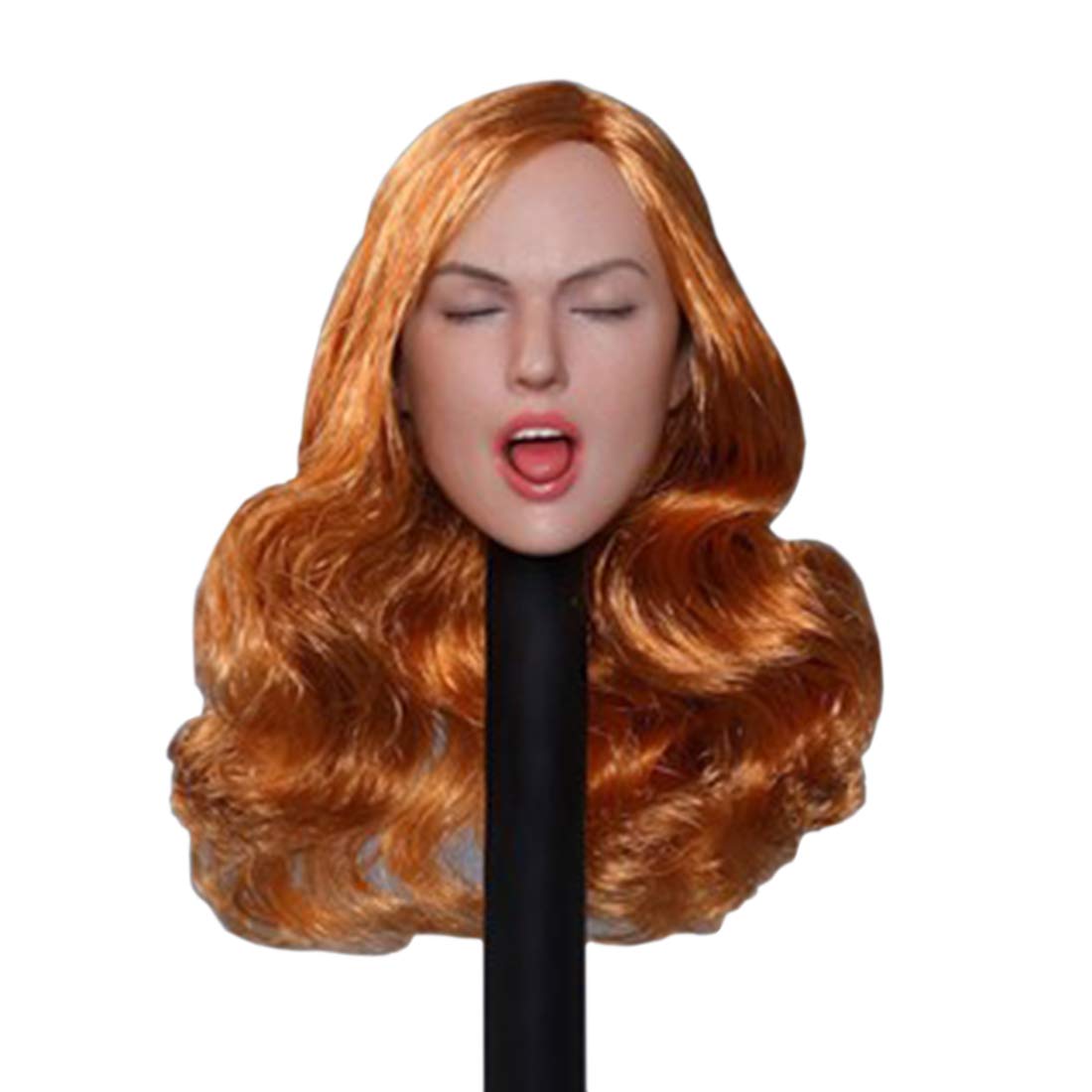 Lingxuinfo 1 6 Scale Female Figure Head Sculpt Doll Head | Desertcart INDIA