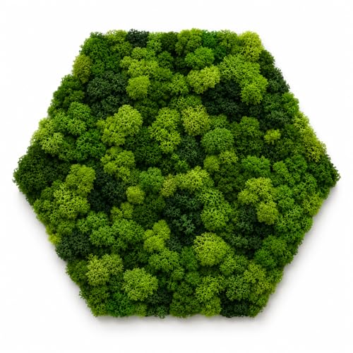 I Giardini di Giulia Quadro Esagonale Verde Stabilizzato con Muschio e Licheni Naturali - Decorazione per Casa e Ufficio, 40x40 cm, Senza Cornice, Senza Manutenzione