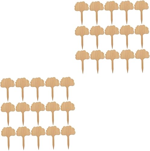 YARNOW 40 unidades de Suculentas, flores, plantas, decoración de cóctel, marcadores de plantas de madera, etiquetas de jardín, marcador de