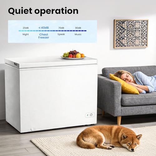 Image of Kismile 10.0 Cubic Feet Chest Freezer, Deep Freezer for Home, White