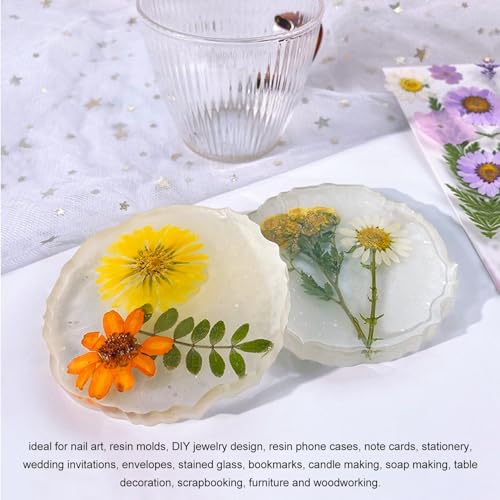 5 bolsas de flores prensadas secas para manualidades miniatura 3