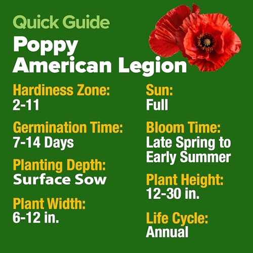 Image of HOME GROWN American Legion Red Poppy Seeds - 6,000 Vibrant Wildflower Seeds for Planting Outdoors - Annual Poppy Flowers - Memorial Garden & Pollinator Friendly (Papaver rhoeas)
