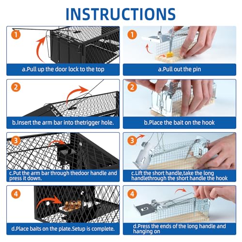Large and small humane rat trap size comparison