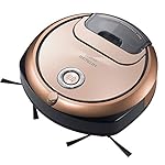 日立の掃除機 RV-EX20 [N]