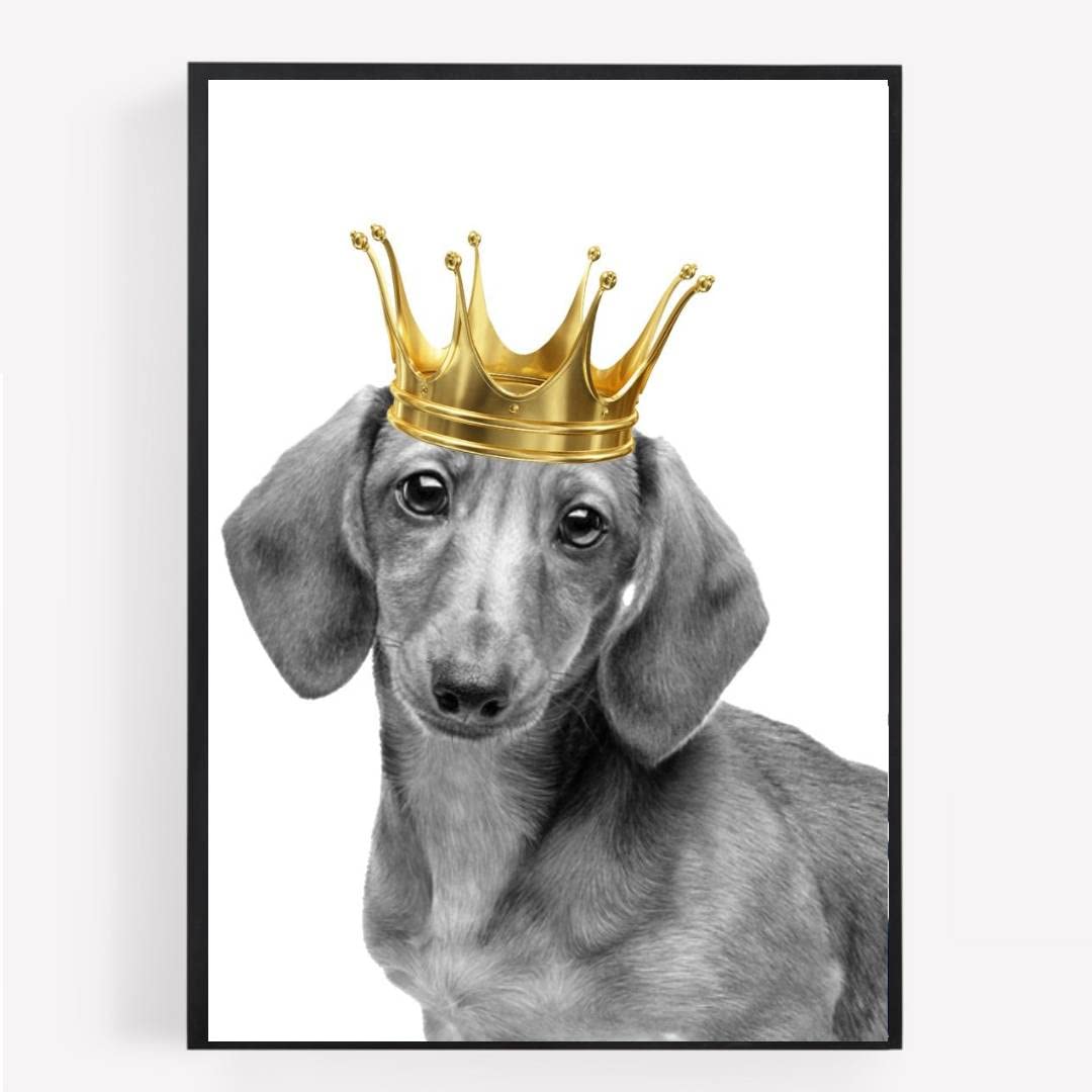 gfc sausage dog dachshund Print Picture Poster A4 UNFRAMED 1 wall art Home decor Decorating crown