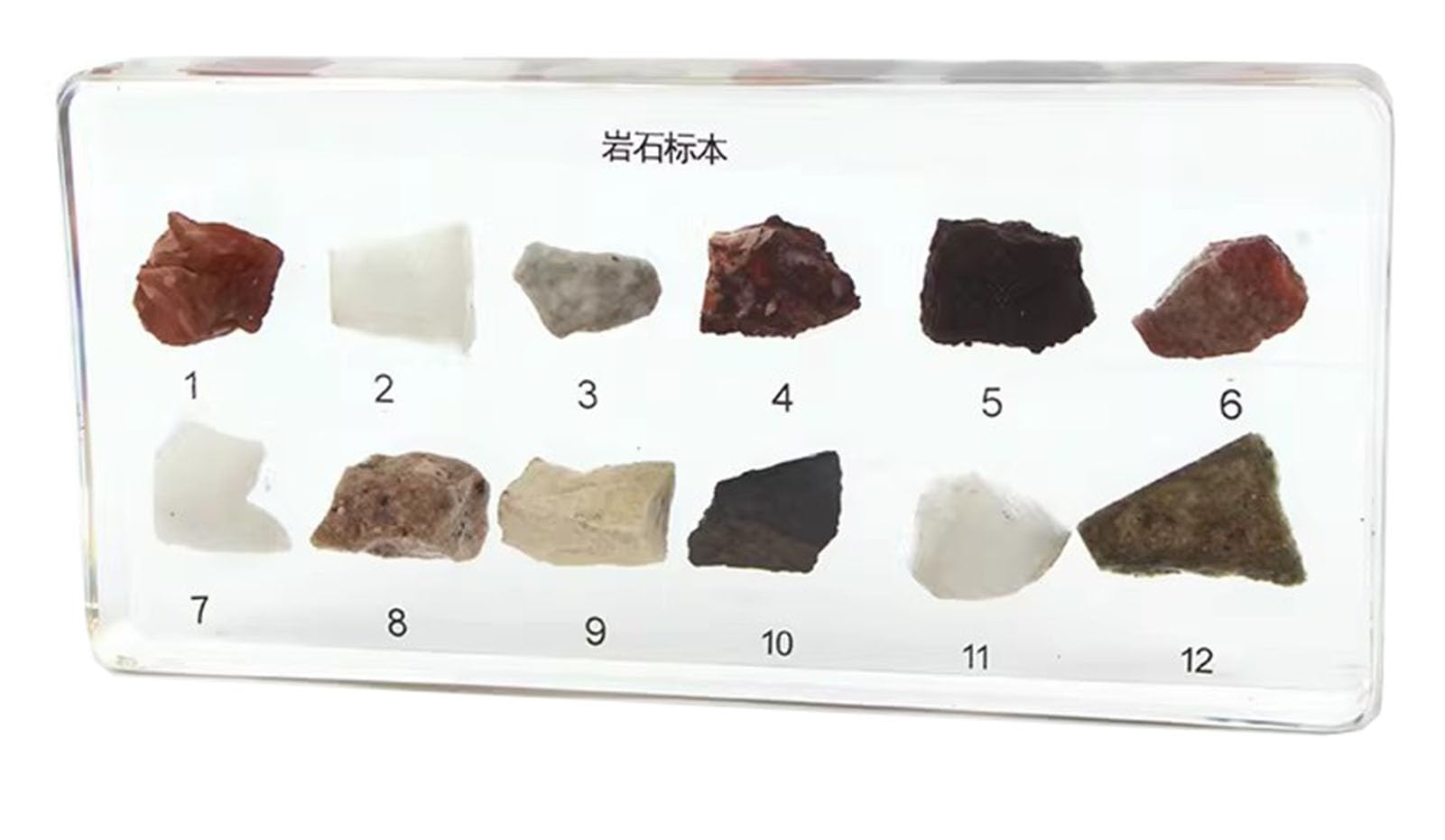 tyzqsm Specimens di Rocce e fossili minerali Montessori per insegnamento scientifico e culturale, Giocattolo educativo STEM,Rocks