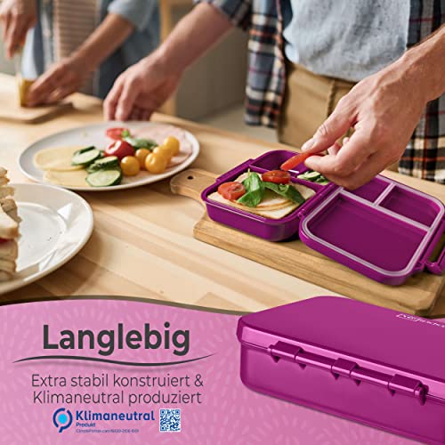 My Vesperbox – MINI BIA - Bento Box Kinder – NEUES MODEL – kompakter und leichter - Auslaufsicher & BPA Frei - Lunchbox – Brotdose - für Kindergarten und Schule (Lila -Regenbogen)