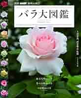 絵本、図鑑、漫画  バラ有 51eukmjzxPL._AC_SY200_QL15_.jpg