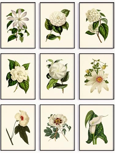 White Flower Wall Art Set of 9 – Vintage Botanical