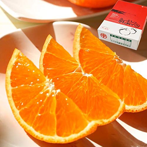 g܂ǂ 3kg p ݂yQY kEg}hiz  Ε ~Mtg ƒɂ JAЂߓ蒼 N͂ƂɊ󏭁I