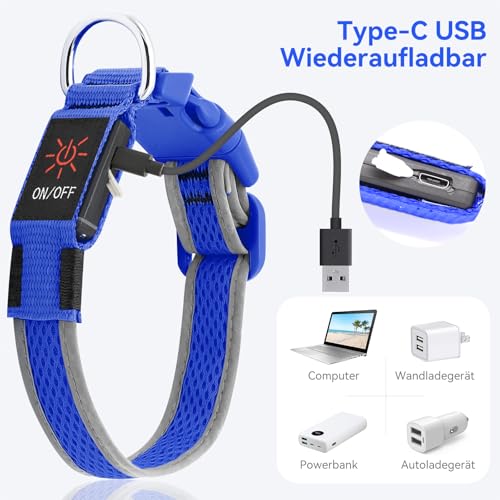 Colaseeme leuchthalsband Hund aufladbar, USB-C, wasserdicht, blau M