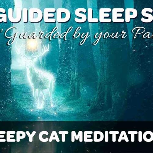 Guarded by your Patronus - Guided Sleep Story for Healing_ Gratitude and Self-Love (Harry Potter)