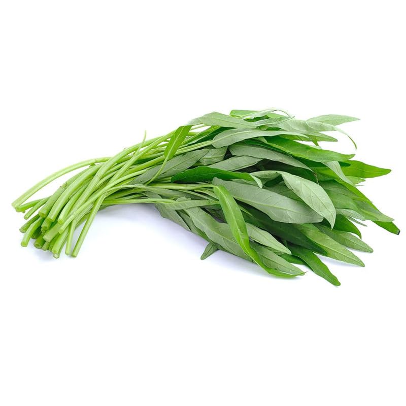 Green Water-Spinach Seeds Pack of 115-image-46