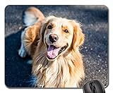 Mouse Pad - Golden Retriever Dog Pets Golden Cute Moe
