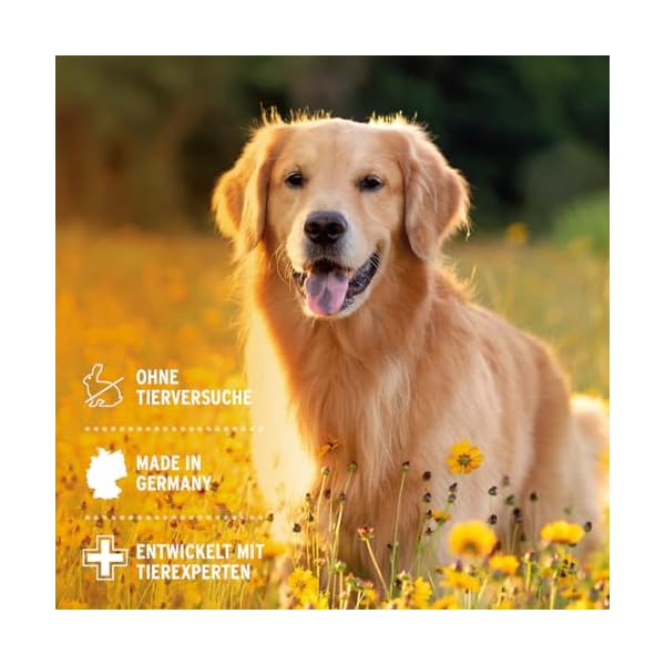 AniForte Ohrentropfen mit kolloidalem Silber 25ppm & Ringelblume 50ml | Für Hunde, Katzen & Kleintiere I Bei Ohrentzündungen, Juckreiz I Ohrenpflege, Ohrenhygiene, Gesunde Ohren – Bild 6