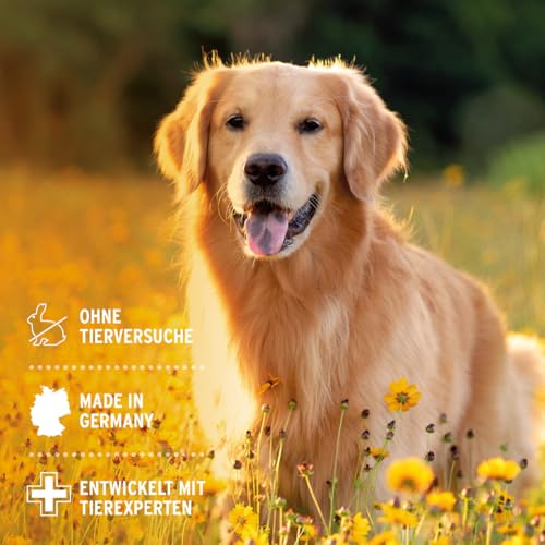 AniForte Ohrentropfen mit kolloidalem Silber 25ppm & Ringelblume 50ml | Für Hunde, Katzen & Kleintiere I Bei Ohrentzündungen, Juckreiz I Ohrenpflege, Ohrenhygiene, Gesunde Ohren – Bild 6