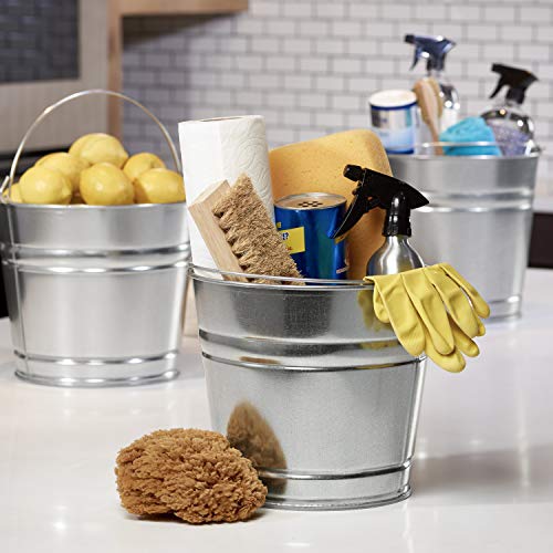 Behrens 1214Gs Galvanized Steel Utility Pail, 14-Quart #TOP7