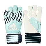 adidas Performance ACE Replique Goalie Gloves, Energy Aqua/Energy Blue/Legend Ink/Trace Blue, Size 7