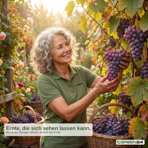 GREEN24 Weinreben Dünger - Spezialdünger für Vitis Vinifera - Weinstock, Weintrauben, Weinpflanzen als Kletterpflanzen an Pergola, Spalier, in Beet & Kübel - NPK Flüssigdünger 250ml Konzentrat