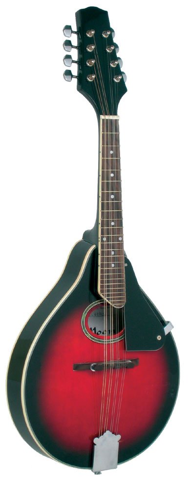 Blue Moon Music BM-06 Mandolin : Amazon.co.uk: Musical Instruments
