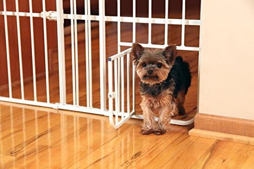 Carlson 24-38" Lil Tuffy Expandable Metal Dog Gate for — packaging and what arrives in the box