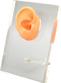 Modelo de orelha direita de silicone, modelo de orelha direita de silicone macio, detalhes finos, modelo de orelha macia, placa de exibição acrílica com coluna de suporte para hospitais de otorrinoceronte, escola