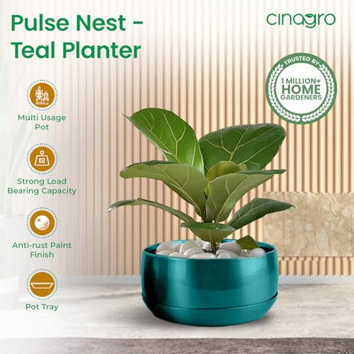 Image of CINAGRO Metal Planter Pot for Indoor Plants, Round Decorative Flower Pot, Rust-Resistant, Modern Plant Holder for Home, Balcony, Office (13.97 x 7.62 cm, Pulse Nest - Teal)