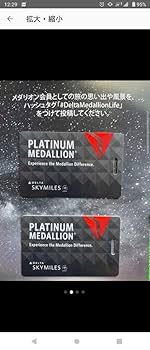 Amazon.co.jp: デルタ航空 上級会員 プラチナメダリオンの手荷物