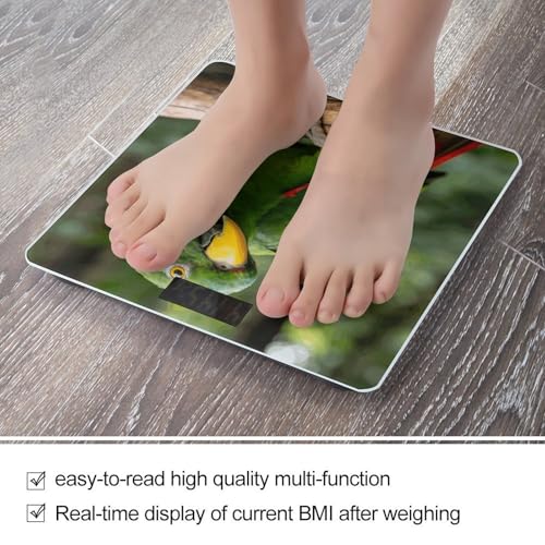 Báscula Digital de Baño Precisa con Pantalla LCD Grande miniatura 5