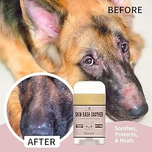 Dog Skin Rash Soother, Stick 2OZ, Allergy and Itch Relief for Dogs, Skin Moisturizer, Organic & All-Natural, Dog Moisturizer for Dry Skin, Dog Lotion, Ultimate Healing Balm, Dog Rash Cream Dog Skin Rash Soother, Stick 2OZ, Allergy and Itch Relief for Dogs, Skin Moisturizer, Organic & All-Natural, Dog Moisturizer for Dry Skin, Dog Lotion, Ultimate Healing Balm, Dog Rash Cream