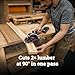 Worx WX531L.9 20V Power Share WORXSAW 4.5