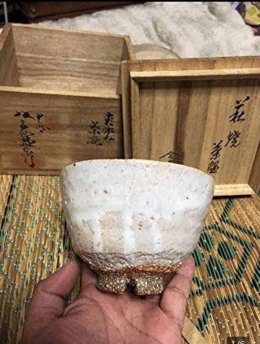 萩焼 名人 十世 坂高麗左衛門 今日庵 箱書 茶碗 無傷 抜群の