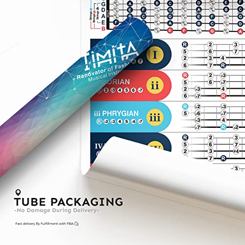 Bass Scales Chart Poster For Beginners, Master Bass Guitar Fretboard Notes, Bass Scales And Modes, Circle Of Fifths For Learning & Reference, 16'' X 24'' Acoustic & Electric Basses Theory Chart #TOP3
