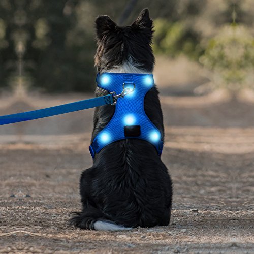 Domi LED Dog Harness, USB Rechargeable Lighted Dog Vest Harness, Reflective Pet Harness with Comfortable Padded Suit for Your Medium Dogs(M, Blue)