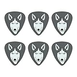 Husky Look Into My Eyes Face Pet Dog Novelty Guitar Picks Medium Gauge - Set of 6